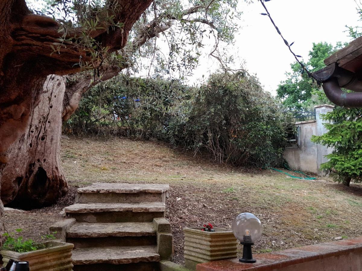 I Gufetti 2 Apartman San Savino  Kültér fotó